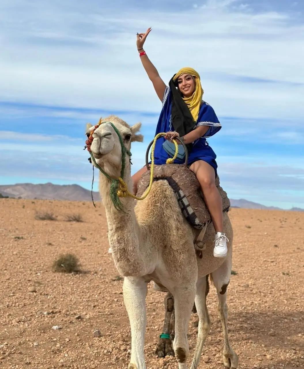 Camel Trek in the Palmeraie — photo 1