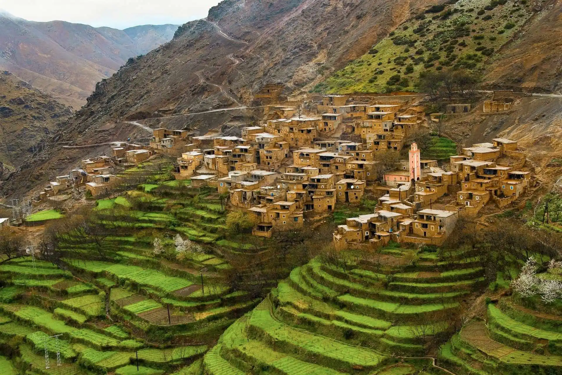 Atlas Mountains & Berber Villages Tour — photo 1