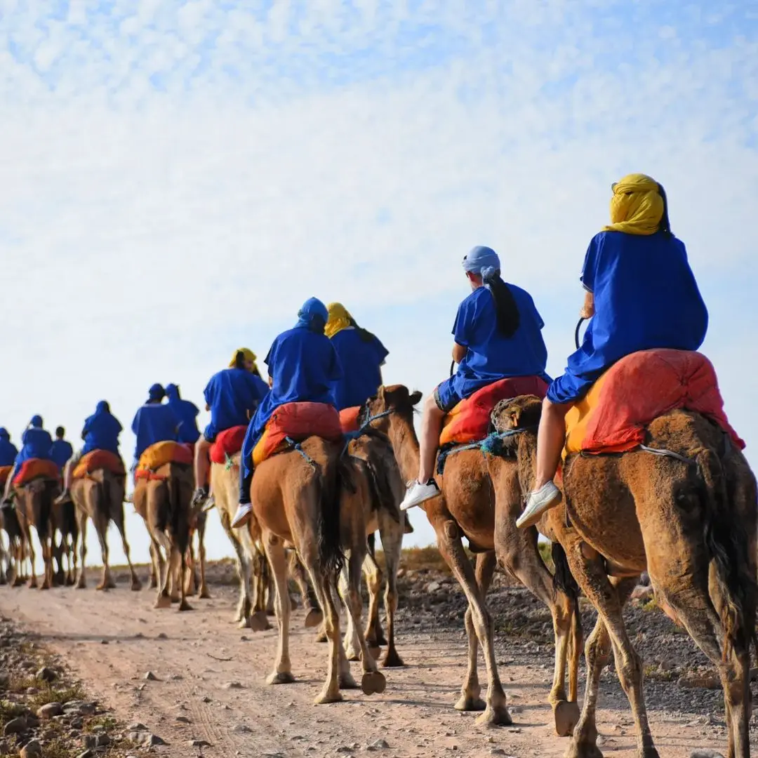 Camel Trek in the Palmeraie
