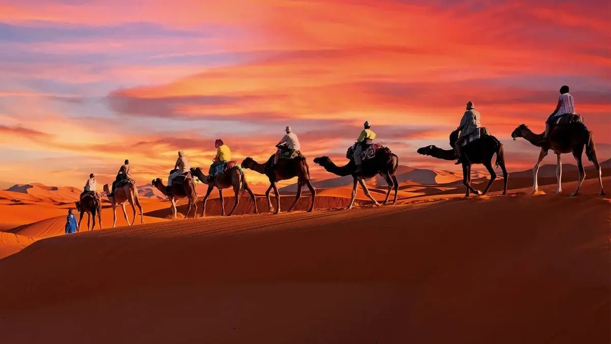 Camel trek at sunset
